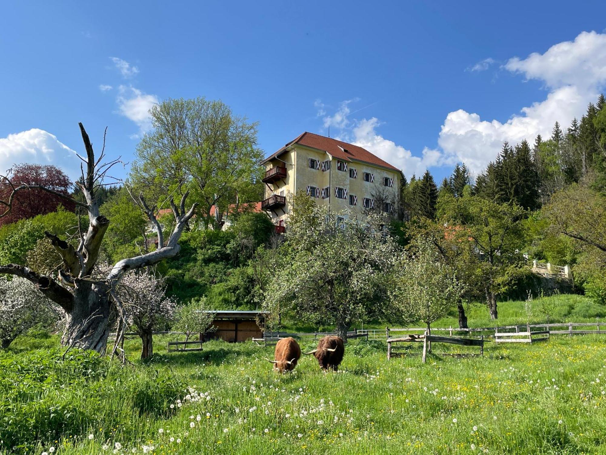 Hotel Landsitz Pichlschloss Neumarkt in Steiermark Extérieur photo